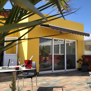 Casa Lagarto , Sardina España